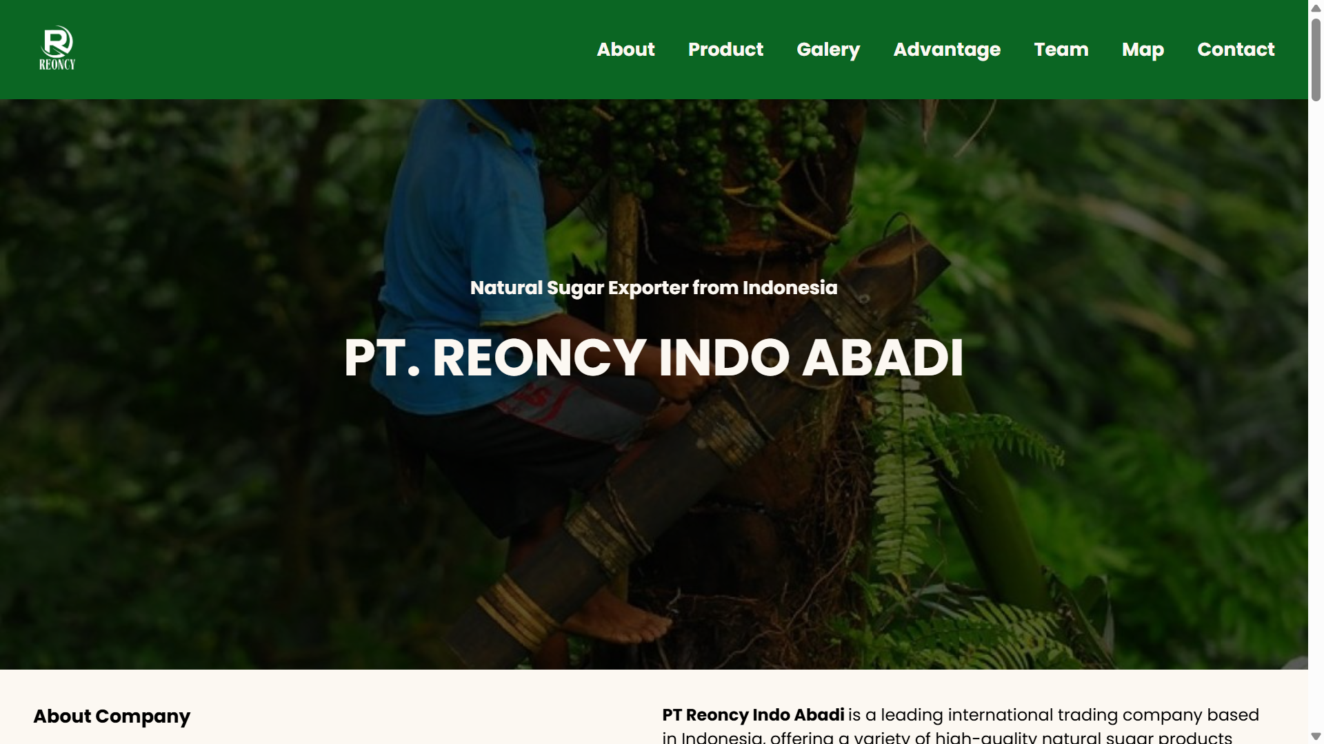 Screenshot website Reoncy — dibangun dengan Node.js dan Laravel Livewire.js